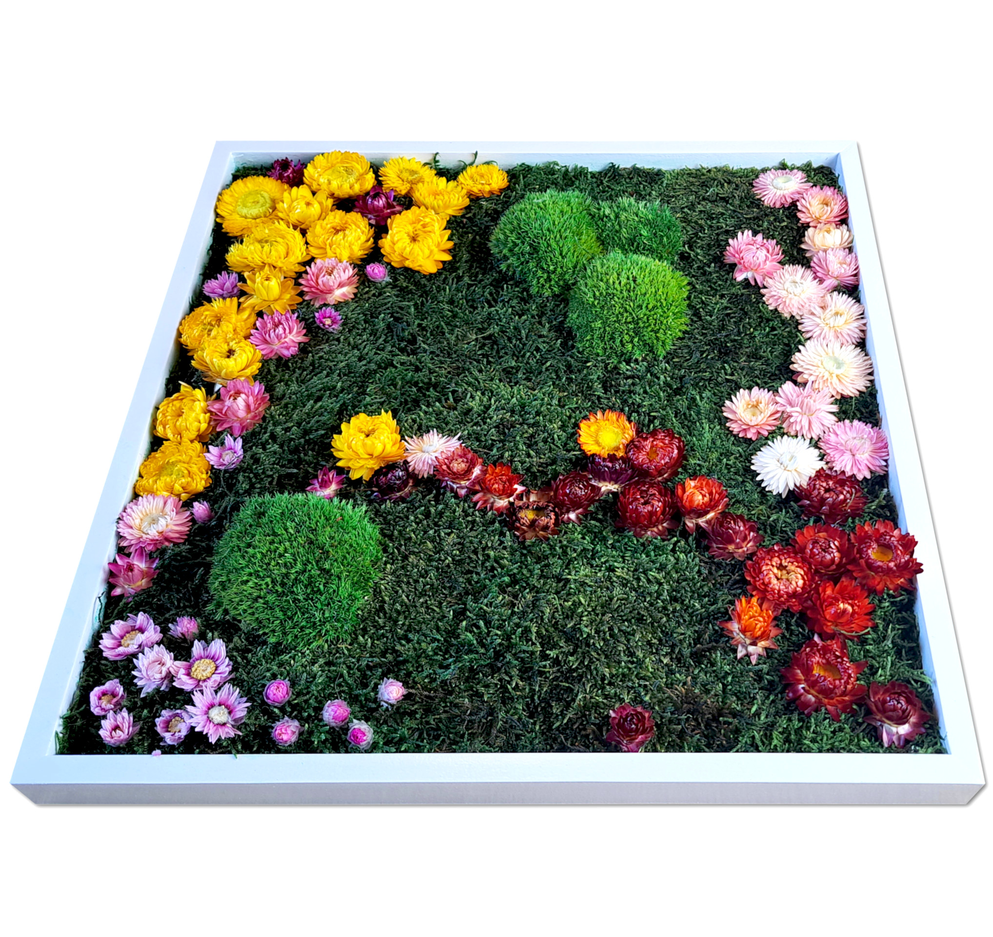 Blütenbild - Größen von 40x40cm bis 100x100cm