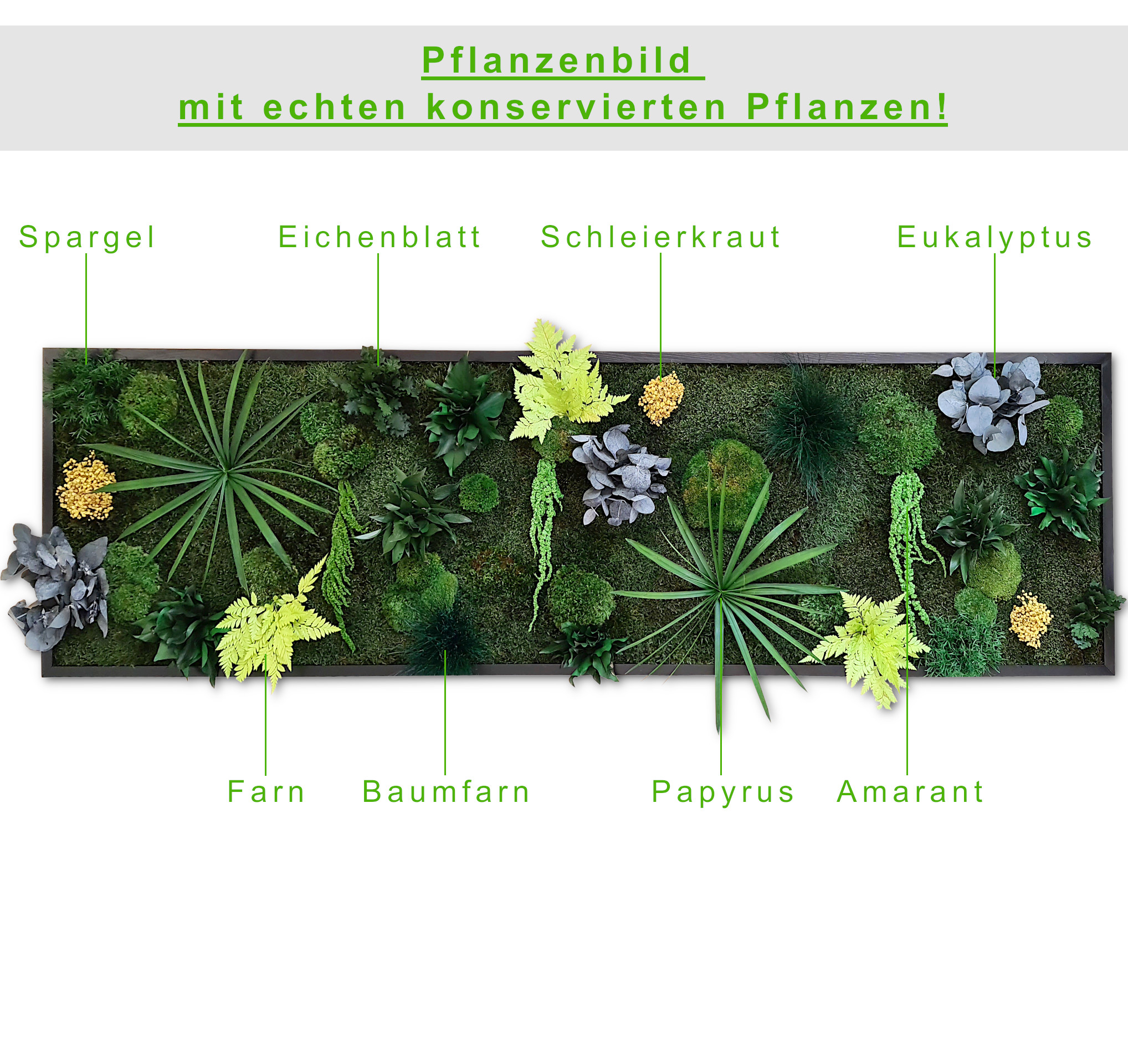 Pflanzenbild - Größen von 80x40cm bis 180x60cm
