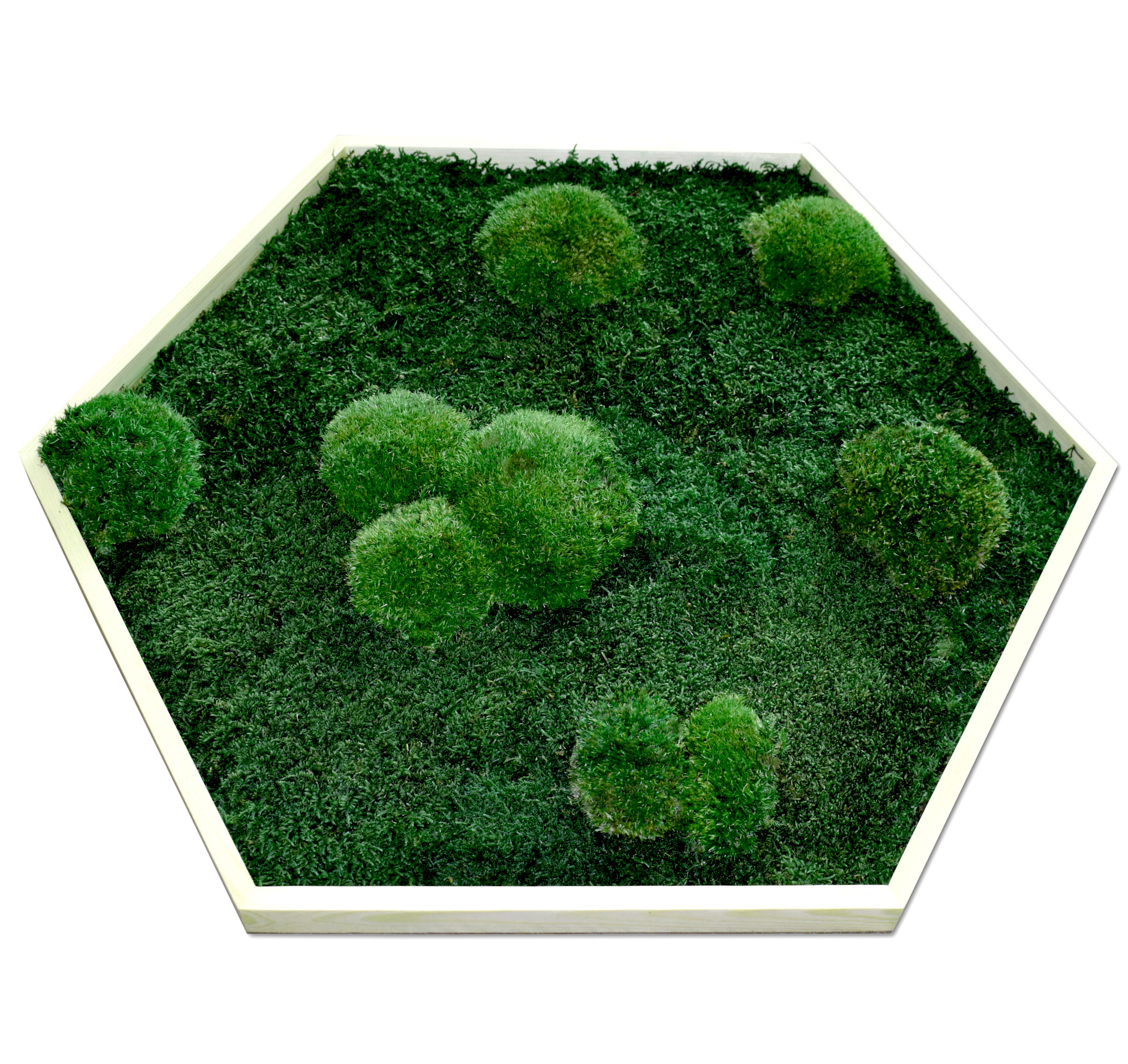 Moosbild Hexagon - Größen von Ø40 cm bis Ø 100cm
