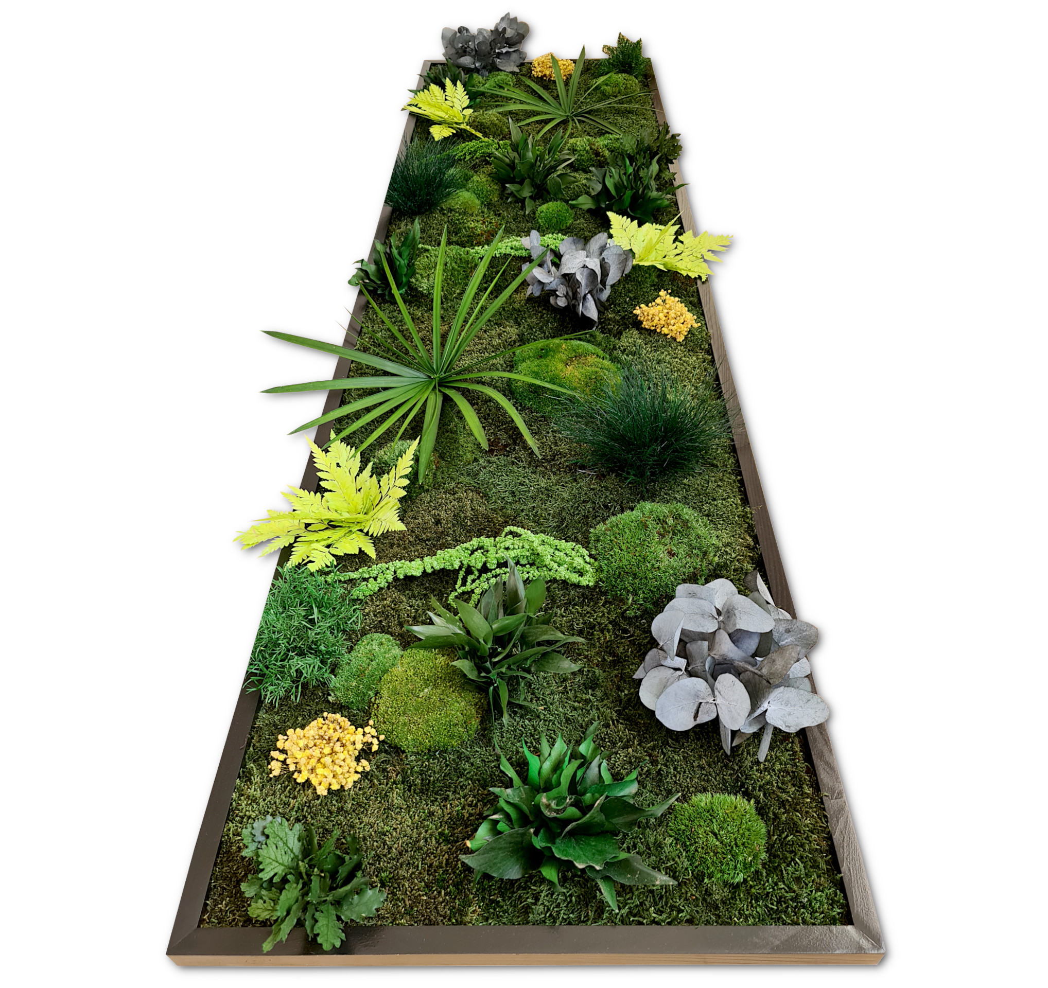 Pflanzenbild - Größen von 80x40cm bis 180x60cm