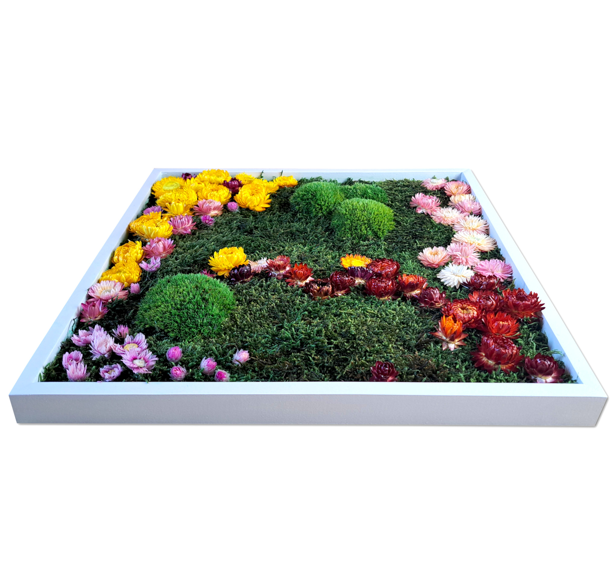 Blütenbild - Größen von 40x40cm bis 100x100cm